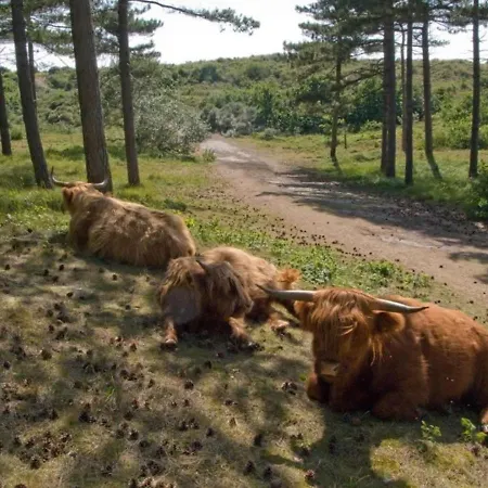 Appartement Casa Bon Bini Egmond aan Zee