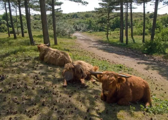 Lägenhet Casa Bon Bini Egmond aan Zee